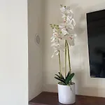 度假居 Charming Independent House In Center, Free Parking Nearby