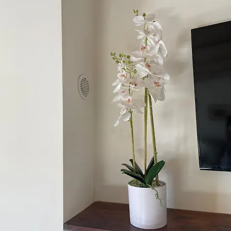 Holiday home Charming Independent House In Center, Free Parking Nearby